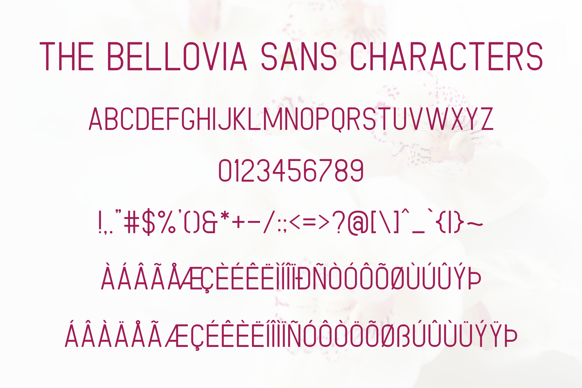 The Bellovia Duo Font preview 12