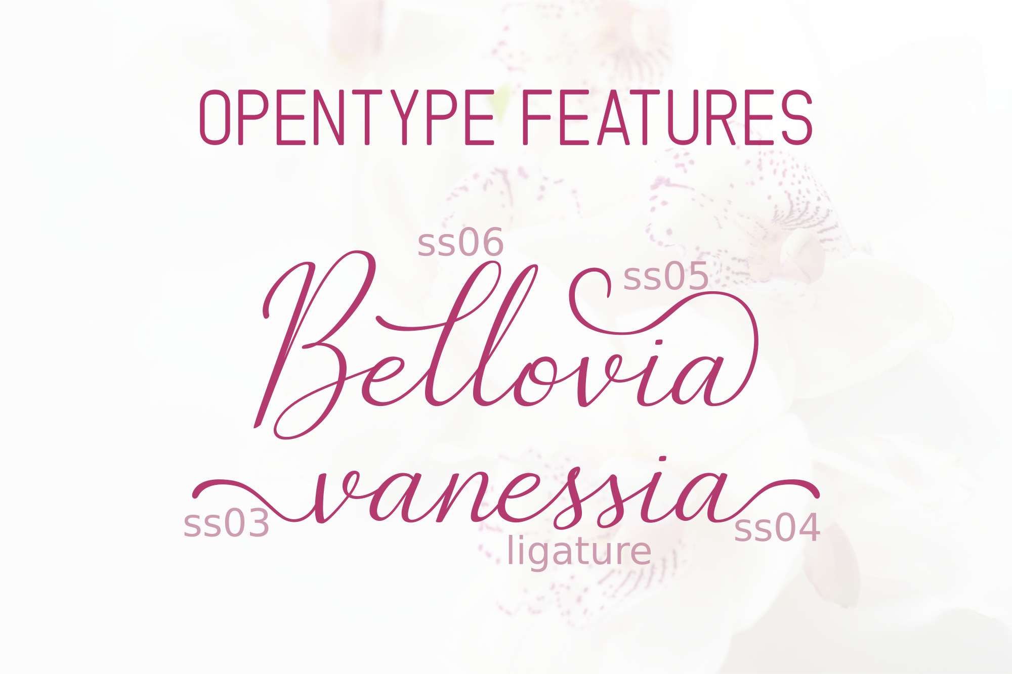 The Bellovia Duo Font preview 2