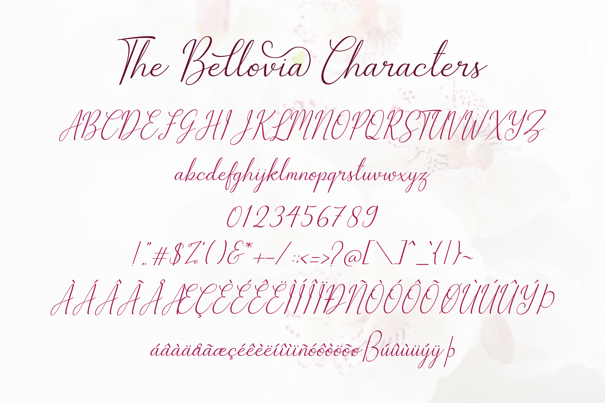 The Bellovia Duo Font preview 11