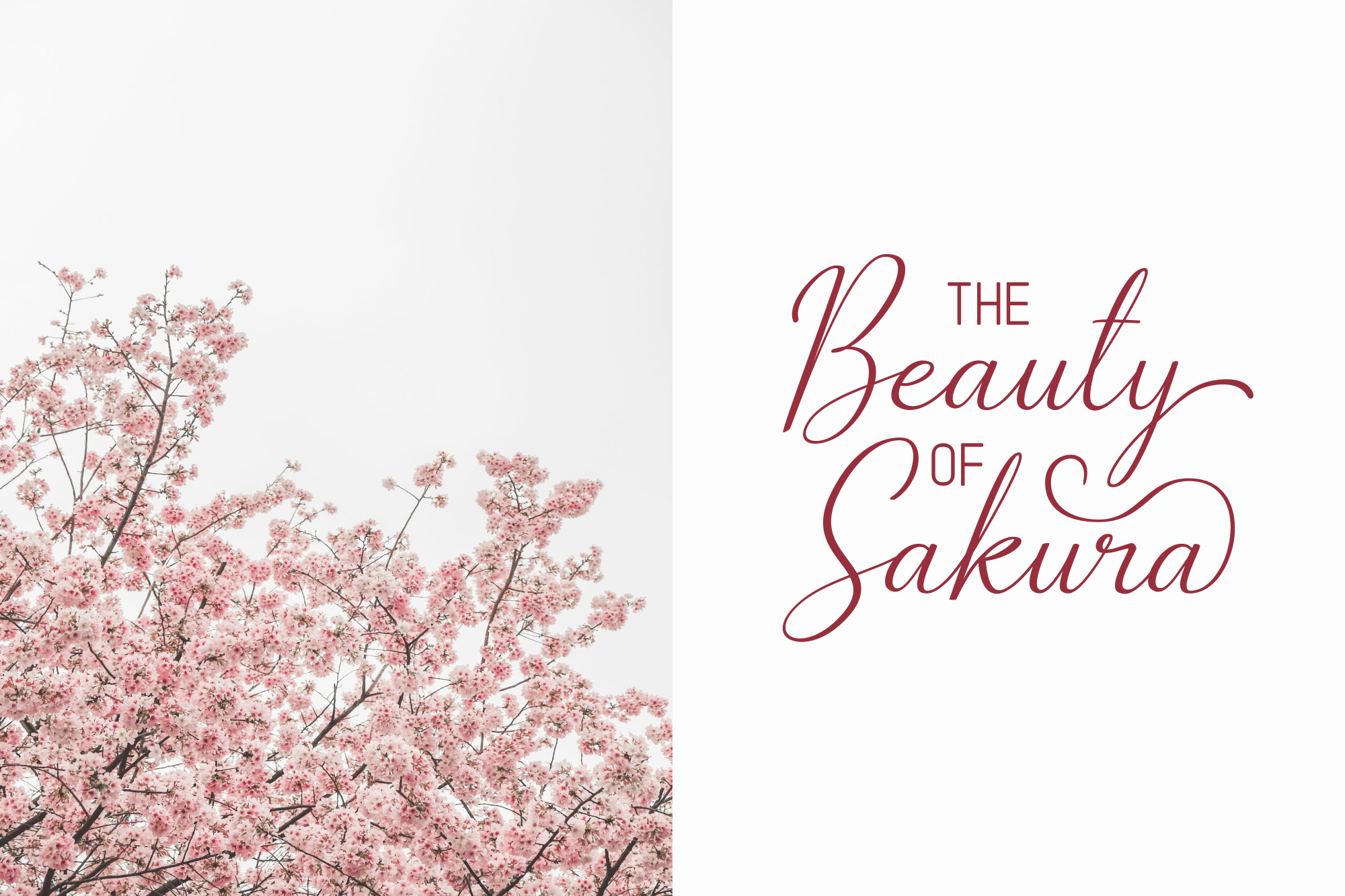 The Bellovia Duo Font preview 4