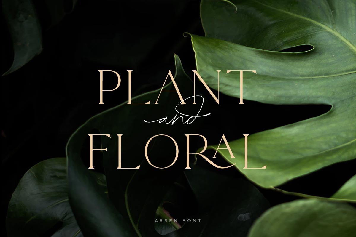 Arsen Font preview 10