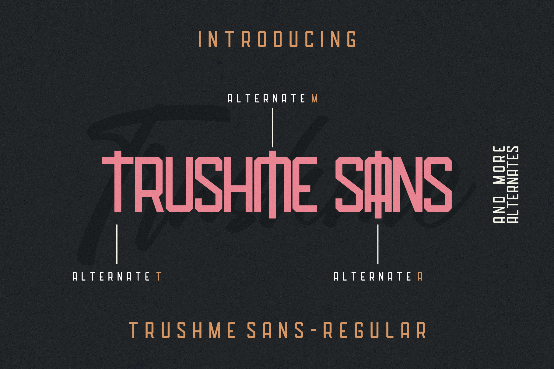 Trushme Font preview 4