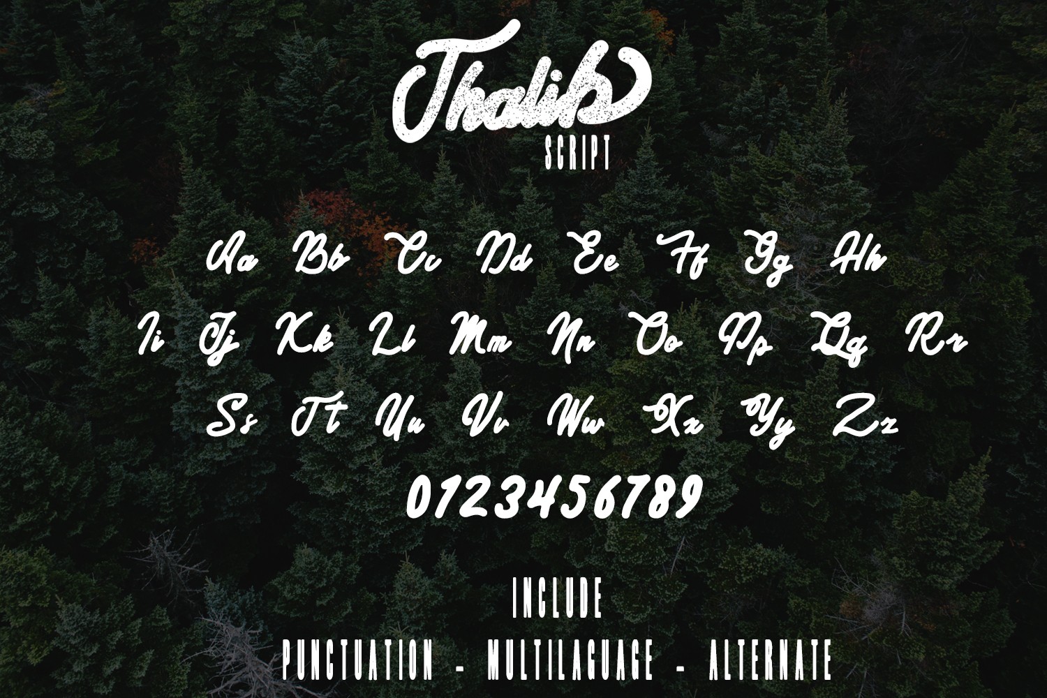Thalib Font preview 5