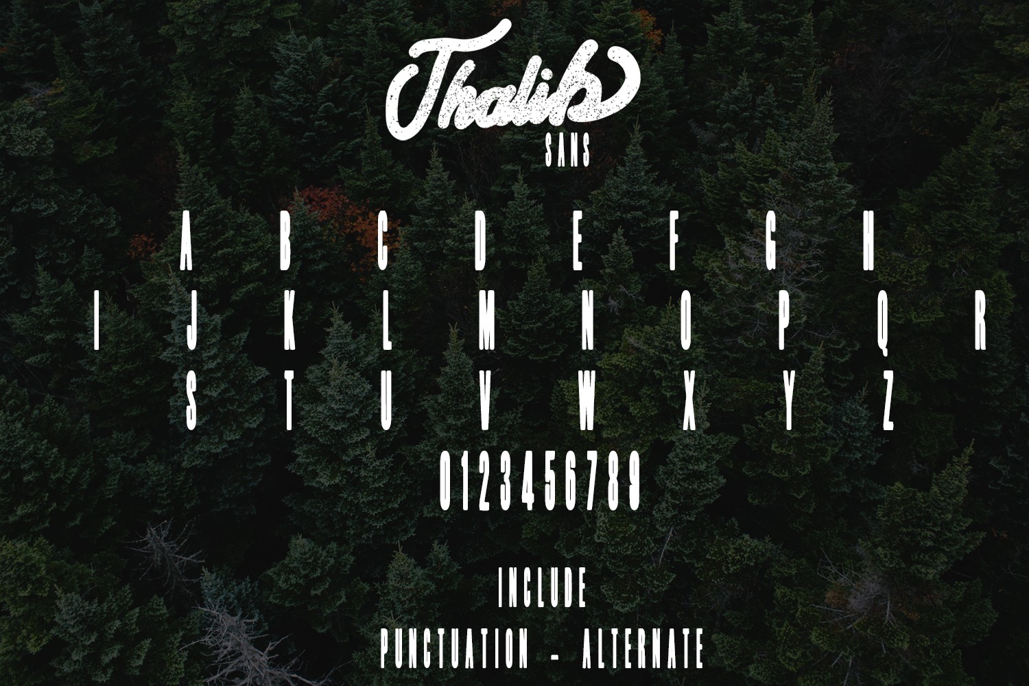 Thalib Font preview 6