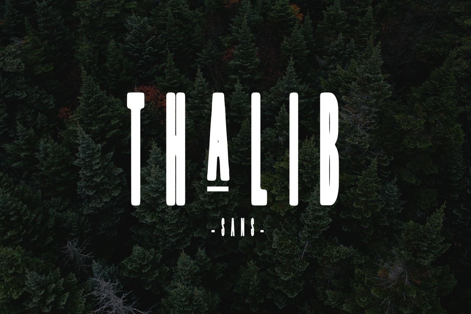 Thalib Font preview 3