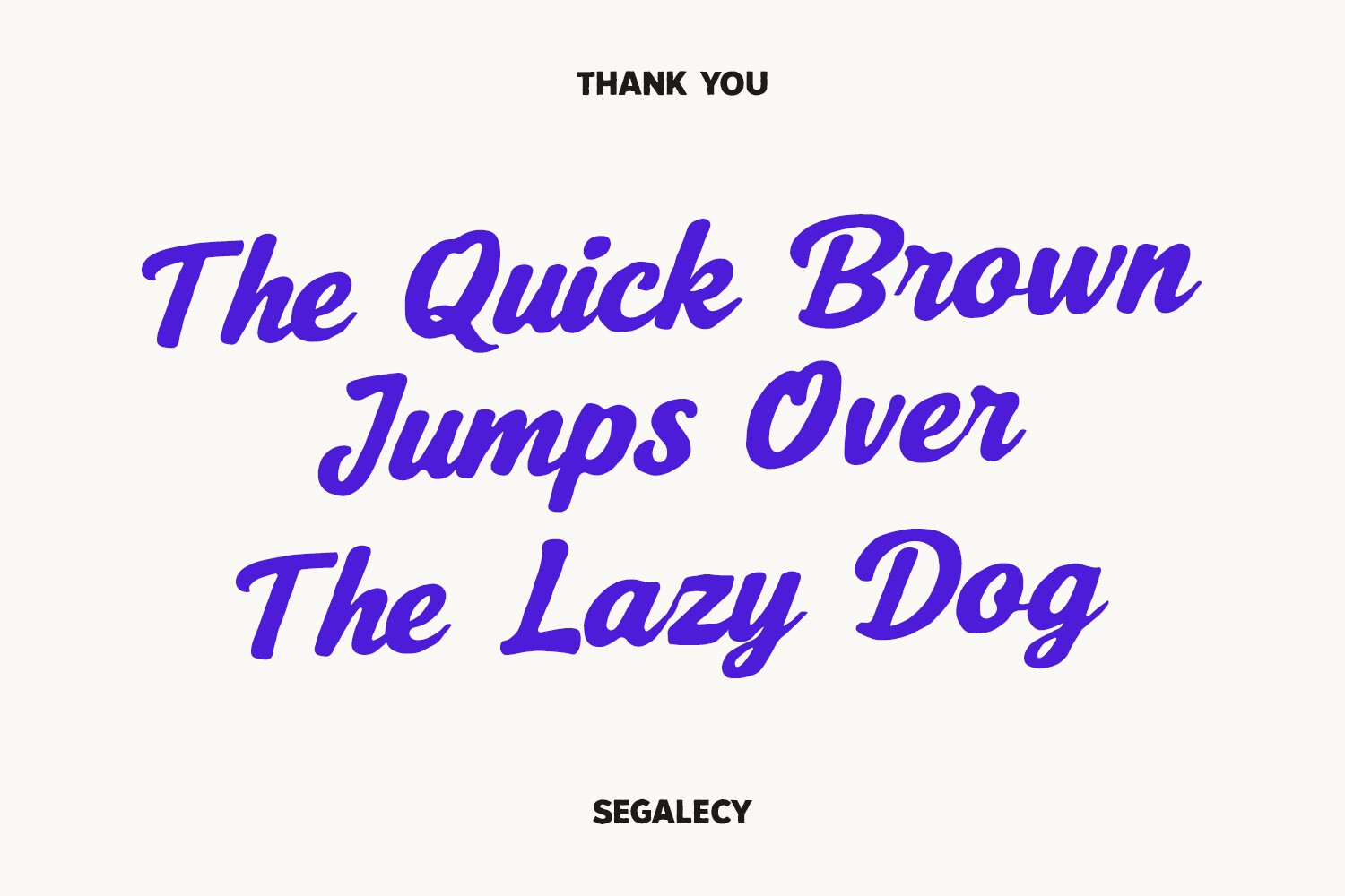 Segalecy Font preview 7